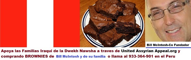 PERU FLAG BROWNIE COLLAGE-80 percent